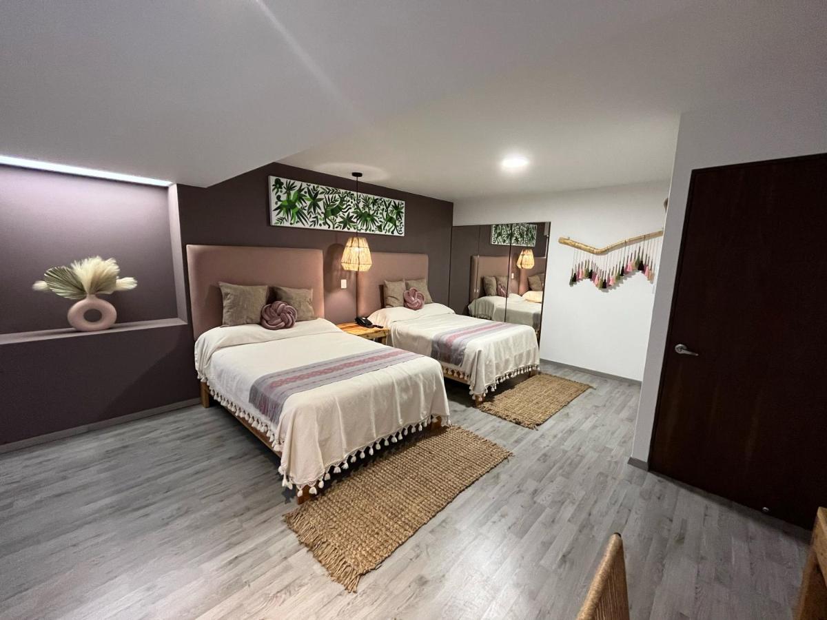 Zen Suites By Regente Oaxaca Exterior photo